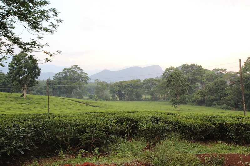 Южно-африканские приключения часть 2 20000 км (Намибия, Ботсвана, Замбия, Малави, Мозамбик) октябрь-декабрь 2025