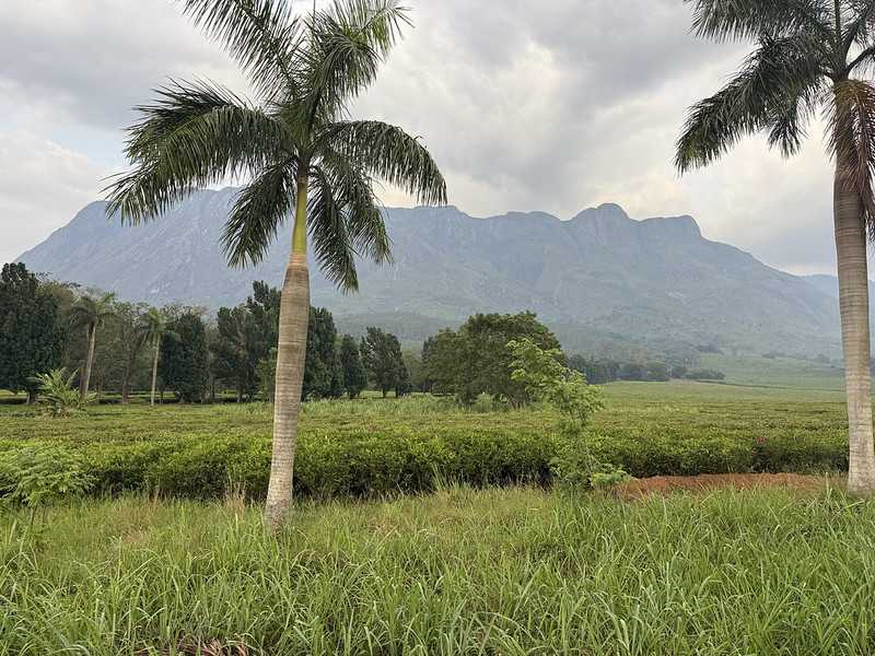 Южно-африканские приключения часть 2 20000 км (Намибия, Ботсвана, Замбия, Малави, Мозамбик) октябрь-декабрь 2025