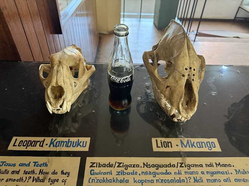 Южно-африканские приключения часть 2 20000 км (Намибия, Ботсвана, Замбия, Малави, Мозамбик) октябрь-декабрь 2025