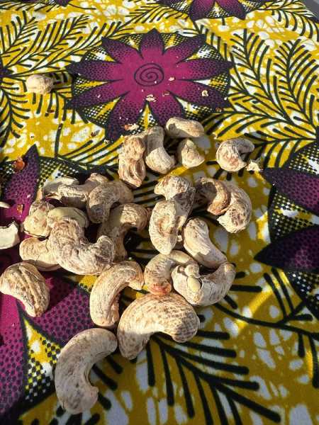 Южно-африканские приключения часть 2 20000 км (Намибия, Ботсвана, Замбия, Малави, Мозамбик) октябрь-декабрь 2025