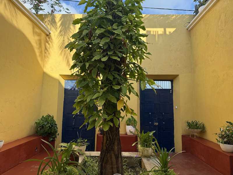 Южно-африканские приключения часть 2 20000 км (Намибия, Ботсвана, Замбия, Малави, Мозамбик) октябрь-декабрь 2025