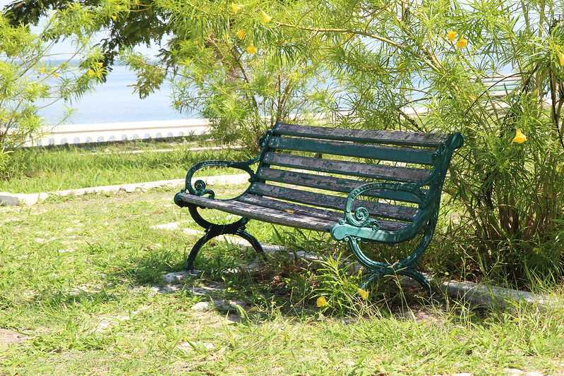 Южно-африканские приключения часть 2 20000 км (Намибия, Ботсвана, Замбия, Малави, Мозамбик) октябрь-декабрь 2025