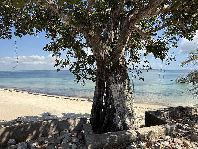 Южно-африканские приключения часть 2 20000 км (Намибия, Ботсвана, Замбия, Малави, Мозамбик) октябрь-декабрь 2025