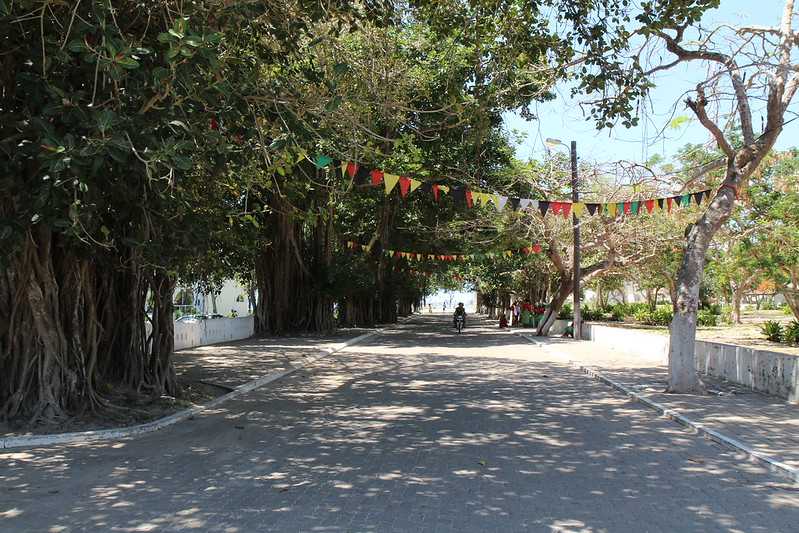 Южно-африканские приключения часть 2 20000 км (Намибия, Ботсвана, Замбия, Малави, Мозамбик) октябрь-декабрь 2025