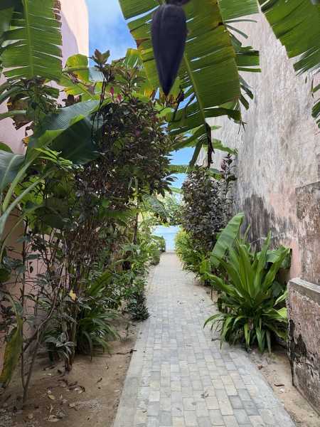 Южно-африканские приключения часть 2 20000 км (Намибия, Ботсвана, Замбия, Малави, Мозамбик) октябрь-декабрь 2025