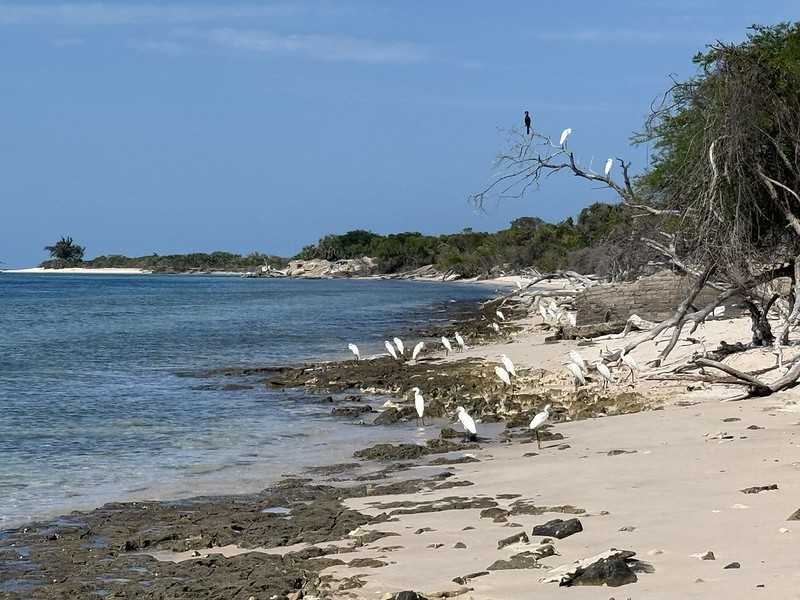 Южно-африканские приключения часть 2 20000 км (Намибия, Ботсвана, Замбия, Малави, Мозамбик) октябрь-декабрь 2025