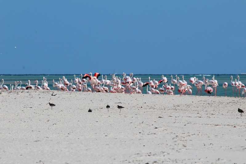 Южно-африканские приключения часть 2 20000 км (Намибия, Ботсвана, Замбия, Малави, Мозамбик) октябрь-декабрь 2025