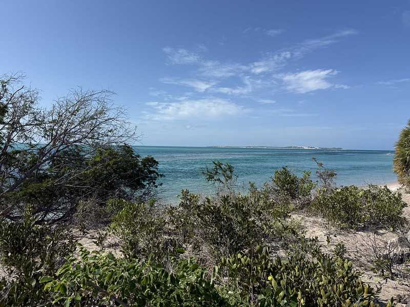 Южно-африканские приключения часть 2 20000 км (Намибия, Ботсвана, Замбия, Малави, Мозамбик) октябрь-декабрь 2025