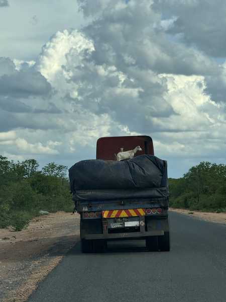 Южно-африканские приключения часть 2 20000 км (Намибия, Ботсвана, Замбия, Малави, Мозамбик) октябрь-декабрь 2025