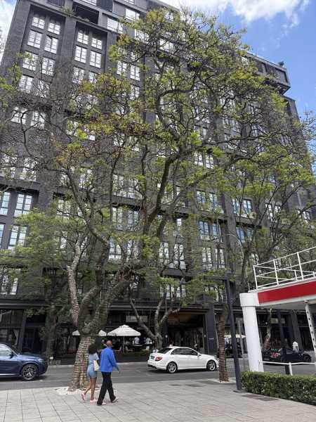 Южно-африканские приключения часть 2 20000 км (Намибия, Ботсвана, Замбия, Малави, Мозамбик) октябрь-декабрь 2025