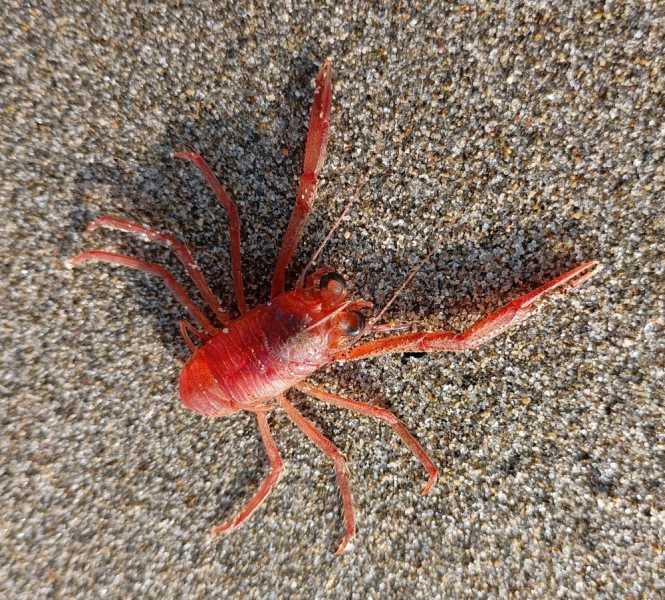 Перу, в натуре! Крайний север, декабрь 2025 – январь 2026