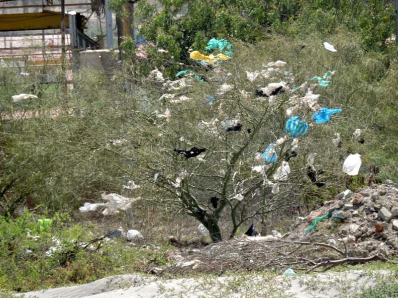 Перу, в натуре! Крайний север, декабрь 2025 – январь 2026