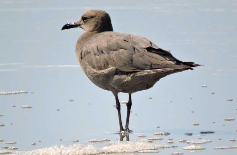 Перу, в натуре! Крайний север, декабрь 2025 – январь 2026