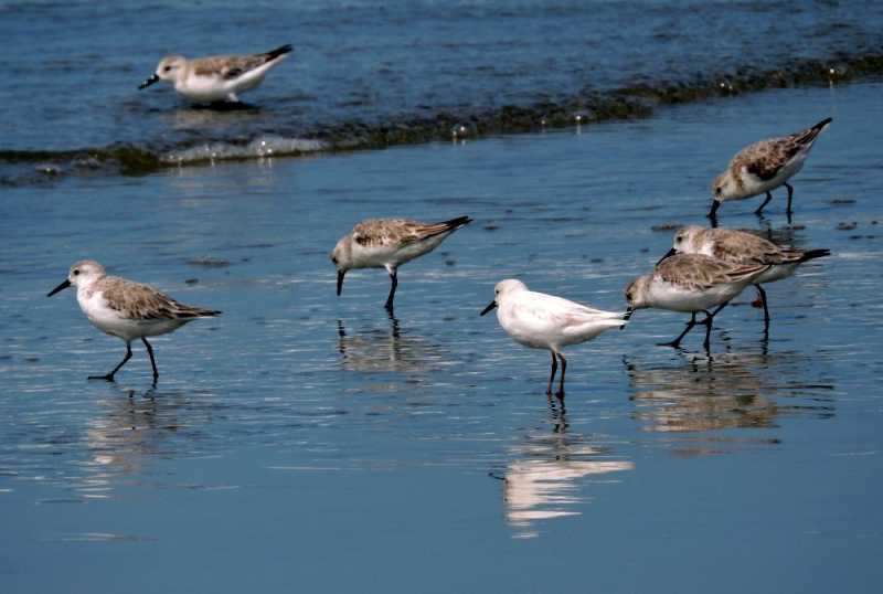 Перу, в натуре! Крайний север, декабрь 2025 – январь 2026