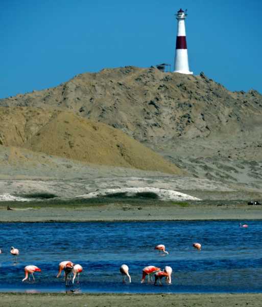 Перу, в натуре! Крайний север, декабрь 2025 – январь 2026