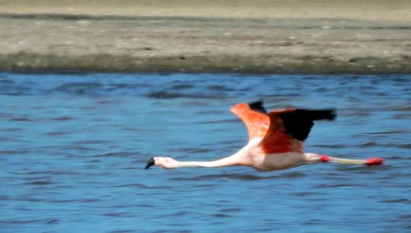 Перу, в натуре! Крайний север, декабрь 2025 – январь 2026