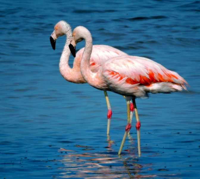 Перу, в натуре! Крайний север, декабрь 2025 – январь 2026