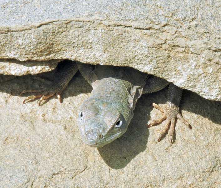 Перу, в натуре! Крайний север, декабрь 2025 – январь 2026