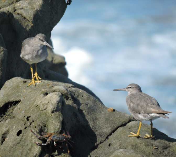 Перу, в натуре! Крайний север, декабрь 2025 – январь 2026