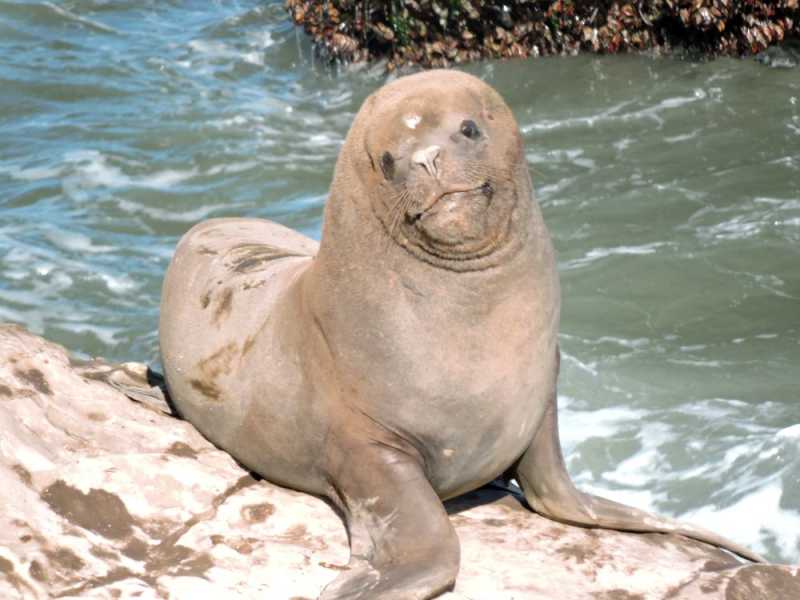 Перу, в натуре! Крайний север, декабрь 2025 – январь 2026