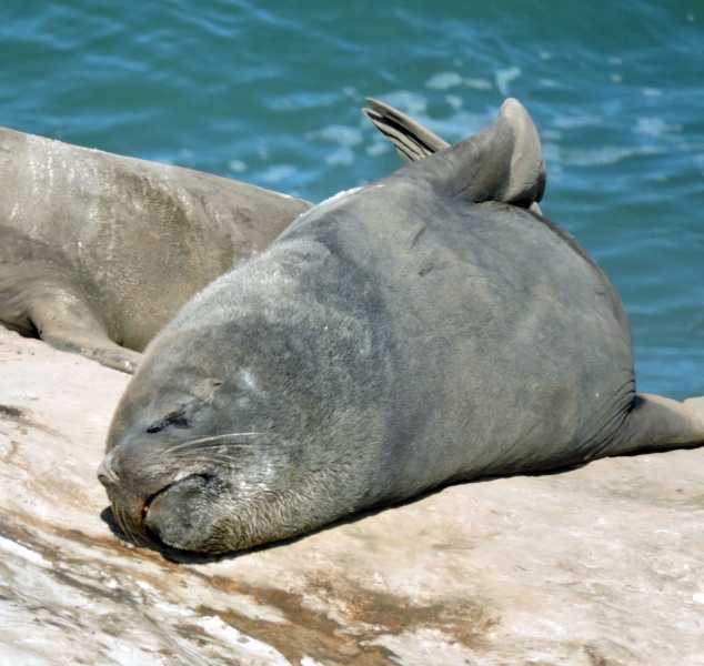 Перу, в натуре! Крайний север, декабрь 2025 – январь 2026