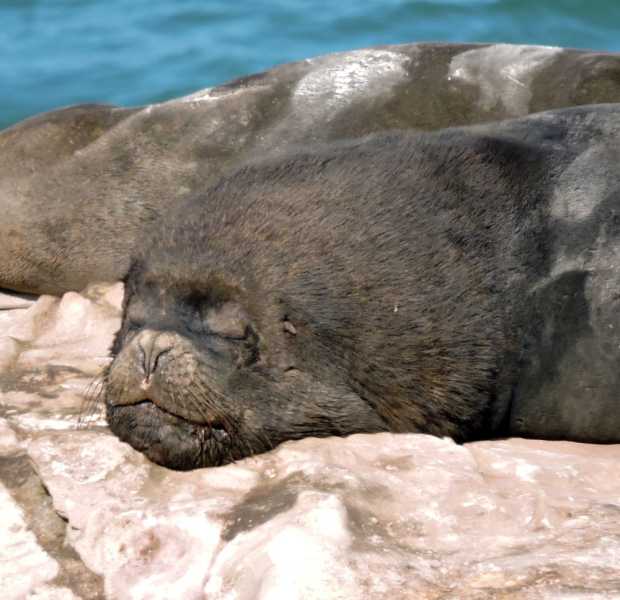 Перу, в натуре! Крайний север, декабрь 2025 – январь 2026
