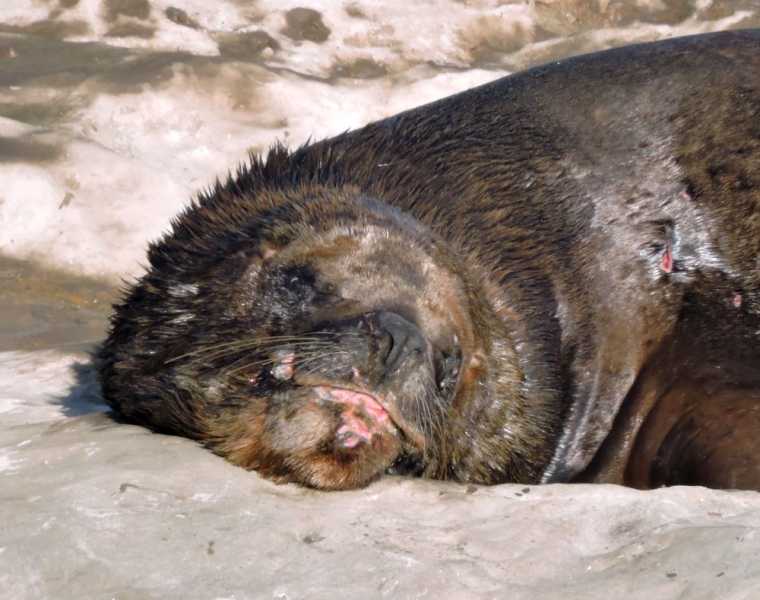 Перу, в натуре! Крайний север, декабрь 2025 – январь 2026