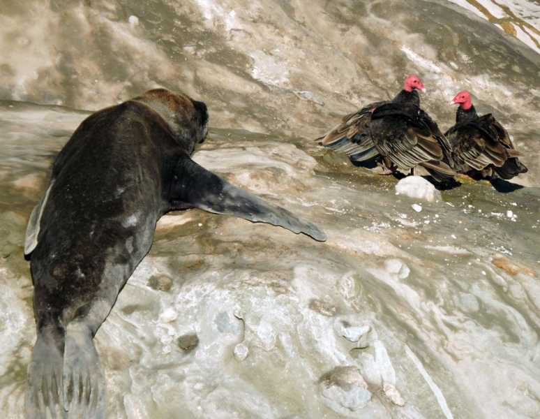 Перу, в натуре! Крайний север, декабрь 2025 – январь 2026