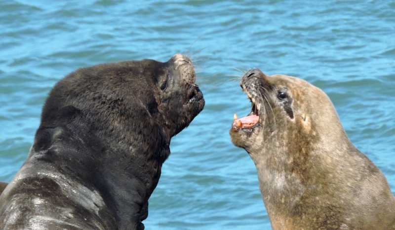 Перу, в натуре! Крайний север, декабрь 2025 – январь 2026
