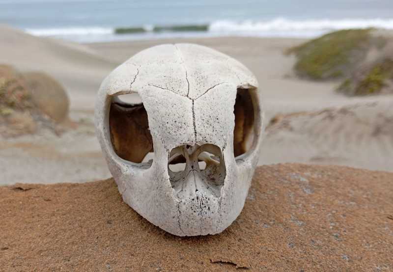 Перу, в натуре! Крайний север, декабрь 2025 – январь 2026