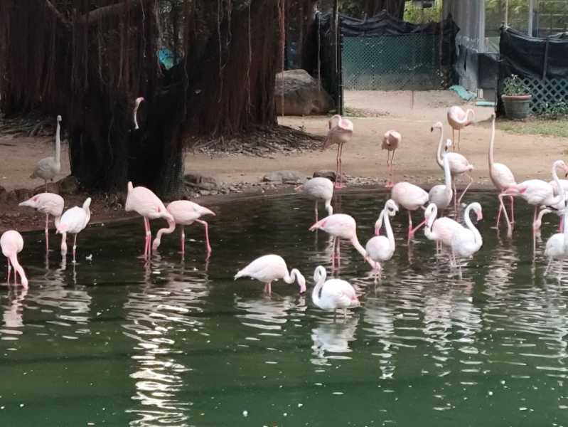 Частички прошлого в мире будущего - Шеньчжень и Гонконг май 2024