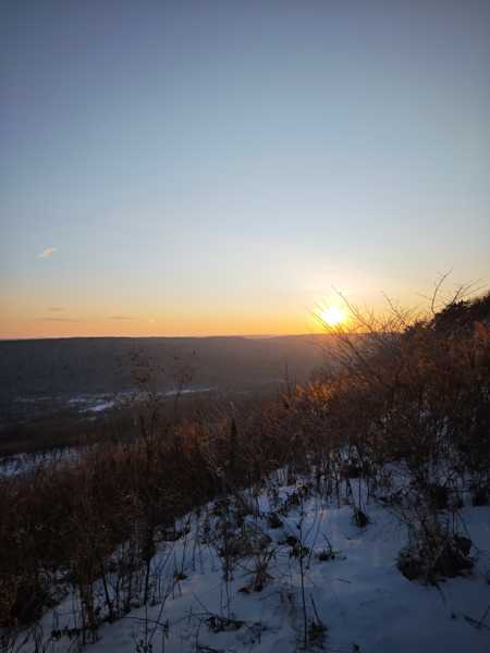 Зимний калейдоскоп глазами волонтера, или как я тигров с леопардами в Приморье фотоловушила. Январь 2026.