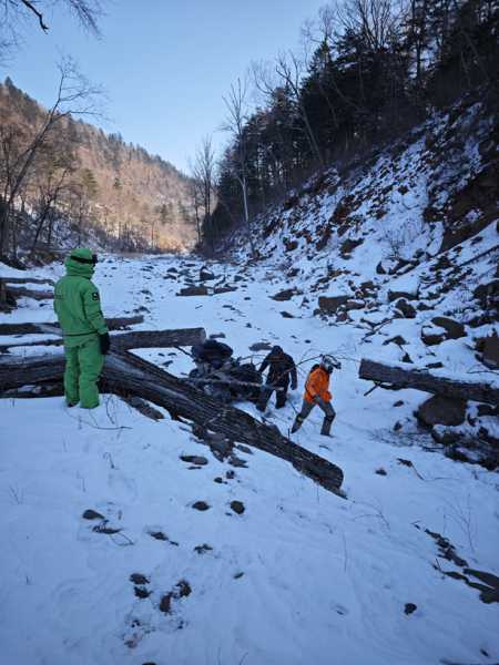 Зимний калейдоскоп глазами волонтера, или как я тигров с леопардами в Приморье фотоловушила. Январь 2026.