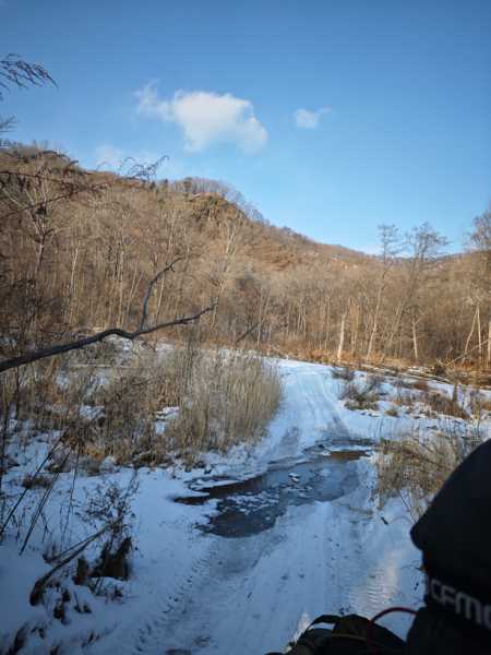 Зимний калейдоскоп глазами волонтера, или как я тигров с леопардами в Приморье фотоловушила. Январь 2026.