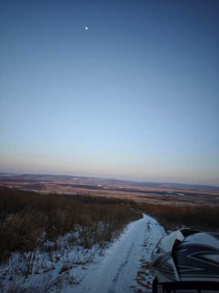 Зимний калейдоскоп глазами волонтера, или как я тигров с леопардами в Приморье фотоловушила. Январь 2026.