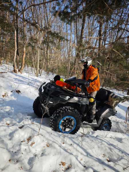 Зимний калейдоскоп глазами волонтера, или как я тигров с леопардами в Приморье фотоловушила. Январь 2026.