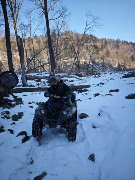 Зимний калейдоскоп глазами волонтера, или как я тигров с леопардами в Приморье фотоловушила. Январь 2026.