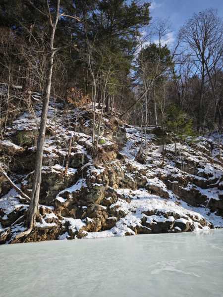 Зимний калейдоскоп глазами волонтера, или как я тигров с леопардами в Приморье фотоловушила. Январь 2026.