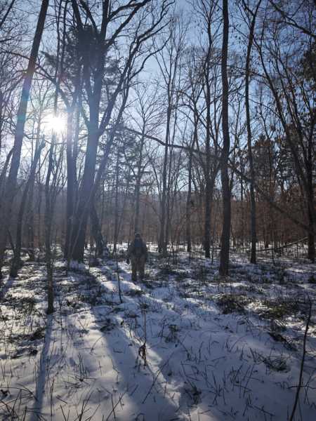Зимний калейдоскоп глазами волонтера, или как я тигров с леопардами в Приморье фотоловушила. Январь 2026.