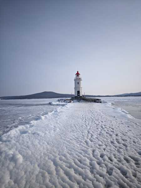Зимний калейдоскоп глазами волонтера, или как я тигров с леопардами в Приморье фотоловушила. Январь 2026.
