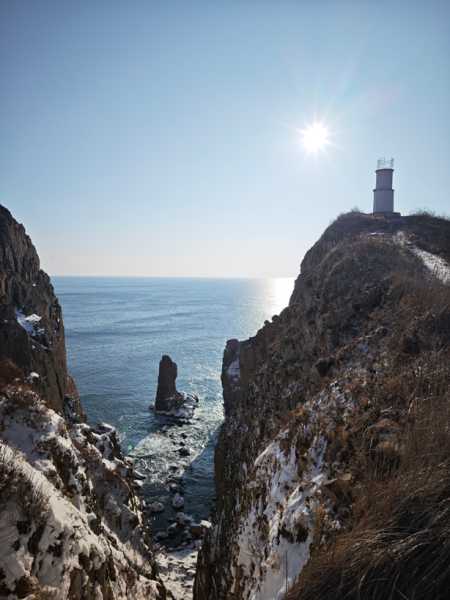 Зимний калейдоскоп глазами волонтера, или как я тигров с леопардами в Приморье фотоловушила. Январь 2026.