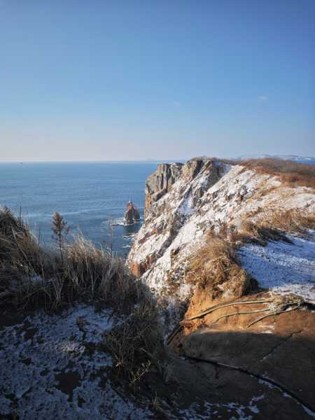 Зимний калейдоскоп глазами волонтера, или как я тигров с леопардами в Приморье фотоловушила. Январь 2026.