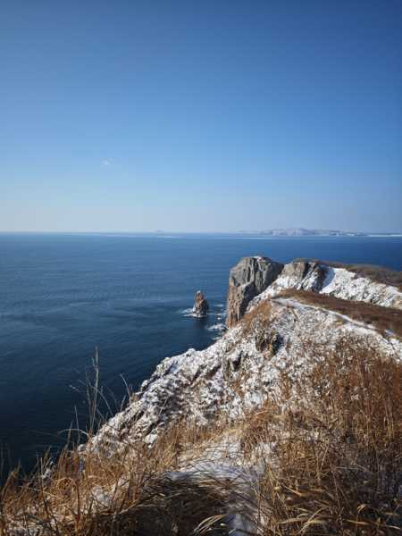 Зимний калейдоскоп глазами волонтера, или как я тигров с леопардами в Приморье фотоловушила. Январь 2026.