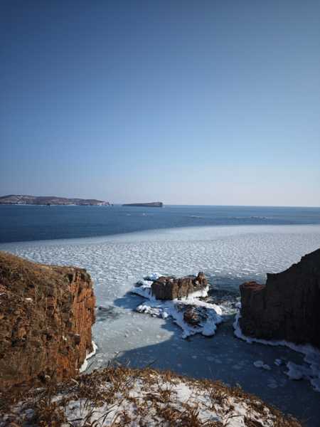Зимний калейдоскоп глазами волонтера, или как я тигров с леопардами в Приморье фотоловушила. Январь 2026.