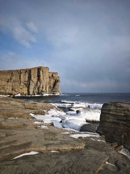 Зимний калейдоскоп глазами волонтера, или как я тигров с леопардами в Приморье фотоловушила. Январь 2026.