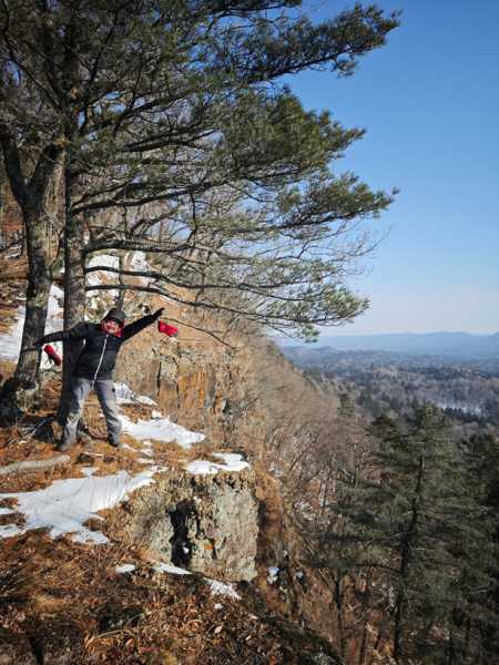 Зимний калейдоскоп глазами волонтера, или как я тигров с леопардами в Приморье фотоловушила. Январь 2026.