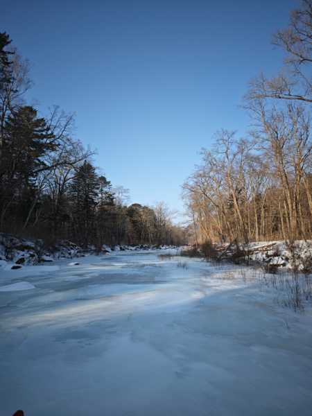 Зимний калейдоскоп глазами волонтера, или как я тигров с леопардами в Приморье фотоловушила. Январь 2026.