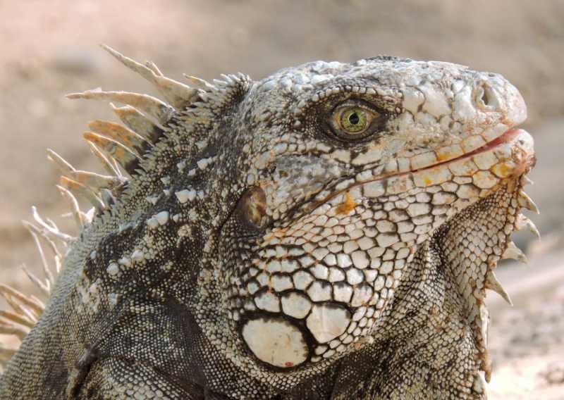 Перу, в натуре! Крайний север, декабрь 2025 – январь 2026