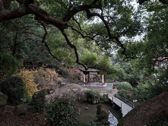 Соло Китай вне сезона: Чунцин + Шанхай (Ханчжоу + Сучжоу)