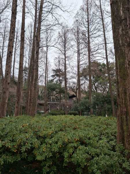 Соло Китай вне сезона: Чунцин + Шанхай (Ханчжоу + Сучжоу)